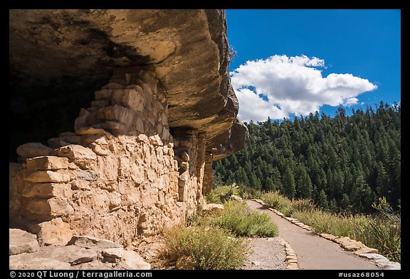 Cliffs dwellings and trail, Walnut Canyon National Monument. Arizona, USA (color)