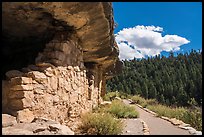 Cliffs dwellings and trail, Walnut Canyon National Monument. Arizona, USA ( color)