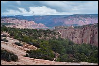 Distant cliffs, Tsegi Canyon system. Navajo National Monument, Arizona, USA ( color)