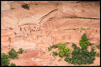 Betatakin cliff dwelling. Navajo National Monument, Arizona, USA ( color)