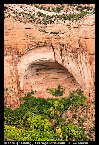 Betatakin ruins in large alcove. Navajo National Monument, Arizona, USA (color)