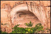 Sandstone alcove with Betatakin Anasazi ruins. Navajo National Monument, Arizona, USA ( color)