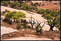 Along Sandal Trail. Navajo National Monument, Arizona, USA ( color)