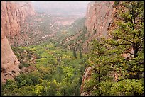Rain, Betatakin Canyon. Navajo National Monument, Arizona, USA ( color)