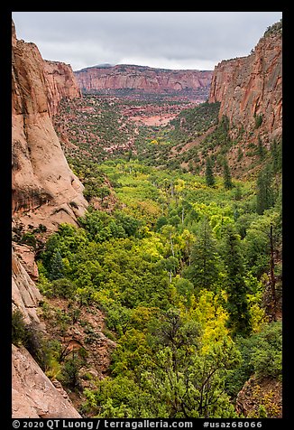 Betatakin Canyon in early autumn. Navajo National Monument, Arizona, USA (color)