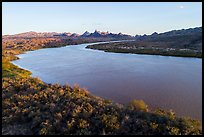 Colorado River, Havasu National Wildlife Refuge. Nevada, USA ( color)