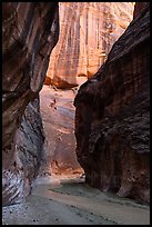Paria River Canyon. Vermilion Cliffs National Monument, Arizona, USA ( color)