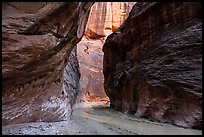 Narrows of Paria River Canyon. Vermilion Cliffs National Monument, Arizona, USA ( color)