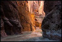 Paria River flowing in Paria Canyon. Vermilion Cliffs National Monument, Arizona, USA ( color)