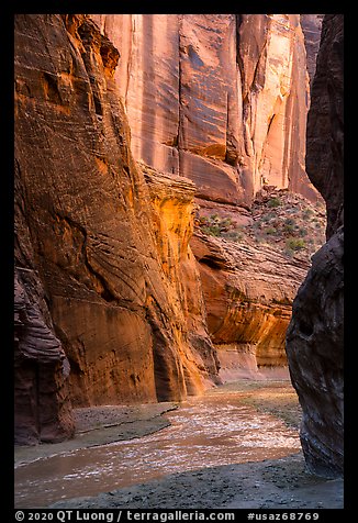 Paria River flowing between tall canyon walls. Vermilion Cliffs National Monument, Arizona, USA (color)