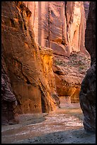 Paria River flowing between tall canyon walls. Vermilion Cliffs National Monument, Arizona, USA ( color)