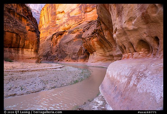 Bend in Paria Canyon with windows carved by water. Vermilion Cliffs National Monument, Arizona, USA (color)
