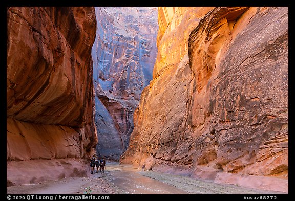 Group of backpackers in Paria Canyon. Vermilion Cliffs National Monument, Arizona, USA