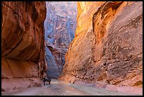 Group of backpackers in Paria Canyon. Vermilion Cliffs National Monument, Arizona, USA ( color)