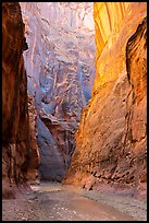 Tall walls of Paria Canyon. Vermilion Cliffs National Monument, Arizona, USA ( color)