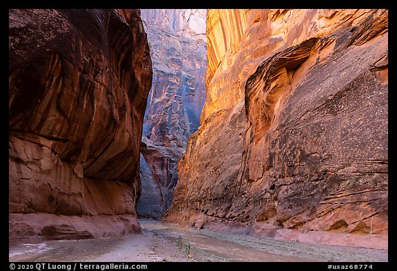 Paria Canyon narrows. Vermilion Cliffs National Monument, Arizona, USA (color)