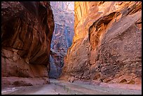 Paria Canyon narrows. Vermilion Cliffs National Monument, Arizona, USA ( color)