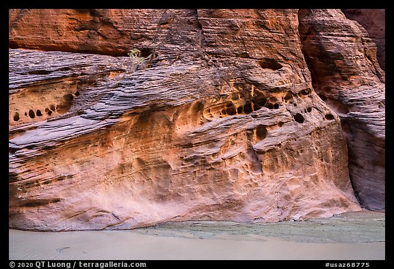 Wall with holes, Paria Canyon. Vermilion Cliffs National Monument, Arizona, USA (color)