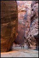 Hikers below huge walls, Paria Canyon. Vermilion Cliffs National Monument, Arizona, USA ( color)