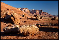 Boulders and Vermillion Cliffs. Vermilion Cliffs National Monument, Arizona, USA ( color)