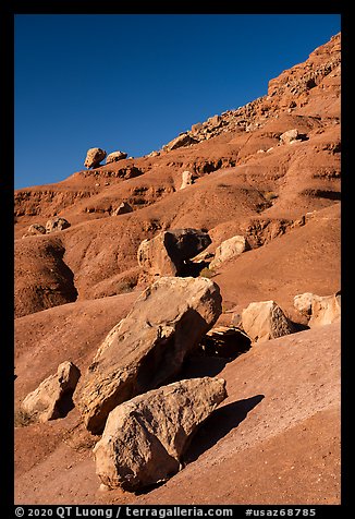 Rocks on slope. Vermilion Cliffs National Monument, Arizona, USA (color)