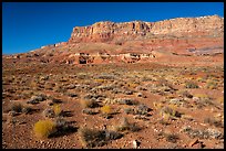 Vermilion Cliffs rising above flats. Vermilion Cliffs National Monument, Arizona, USA ( color)