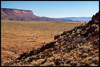 Vermilion Cliffs near Bonelli Springs. Vermilion Cliffs National Monument, Arizona, USA ( color)