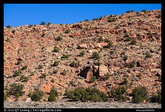 Jumble of boulders on hill including the Maze Rock Art site. Vermilion Cliffs National Monument, Arizona, USA (color)
