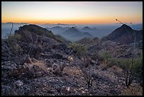 Ocotillo and desert peaks from Waterman Mountains at dawn. Ironwood Forest National Monument, Arizona, USA ( color)