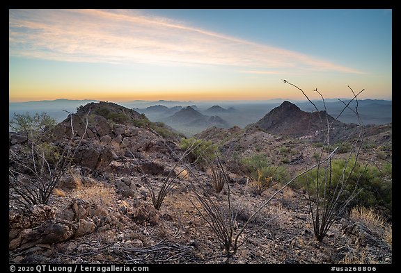 Ocotillo and desert peaks from Waterman Mountains at sunrise. Ironwood Forest National Monument, Arizona, USA (color)