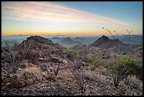 Ocotillo and desert peaks from Waterman Mountains at sunrise. Ironwood Forest National Monument, Arizona, USA ( color)