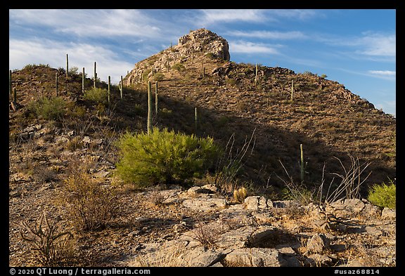 Waterman Peak. Ironwood Forest National Monument, Arizona, USA (color)