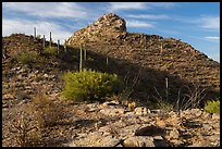 Waterman Peak. Ironwood Forest National Monument, Arizona, USA ( color)