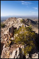 Waterman Peak summit ridge. Ironwood Forest National Monument, Arizona, USA ( color)