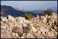 Ragged Top, and Wolcott Peak from Waterman Peak. Ironwood Forest National Monument, Arizona, USA ( color)