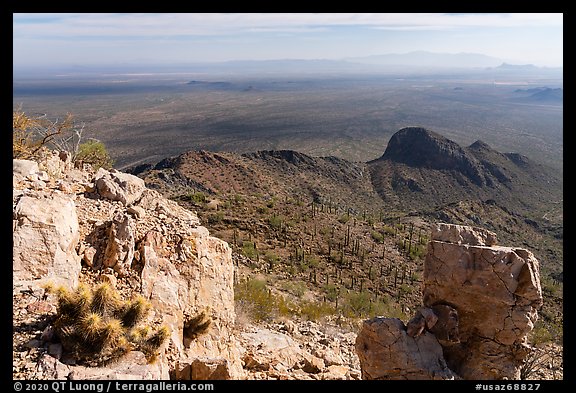 Cactus and plains from Waterman Peak summit. Ironwood Forest National Monument, Arizona, USA (color)