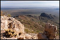 Cactus and plains from Waterman Peak summit. Ironwood Forest National Monument, Arizona, USA ( color)