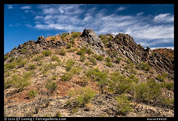 Waterman Mountains. Ironwood Forest National Monument, Arizona, USA (color)