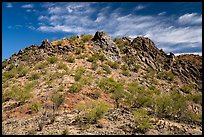 Waterman Mountains. Ironwood Forest National Monument, Arizona, USA ( color)