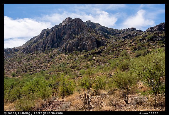 Waterman Peak. Ironwood Forest National Monument, Arizona, USA (color)