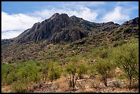 Waterman Peak. Ironwood Forest National Monument, Arizona, USA ( color)