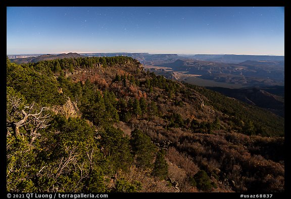 View from Mt Logan under moonlight. Grand Canyon-Parashant National Monument, Arizona, USA (color)