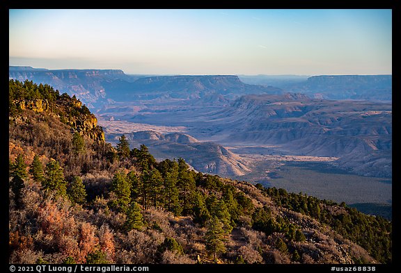 Grand Canyon from Mt Logan. Grand Canyon-Parashant National Monument, Arizona, USA (color)