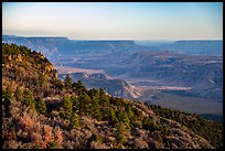 Grand Canyon from Mt Logan. Grand Canyon-Parashant National Monument, Arizona, USA ( color)
