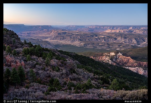 Grand Canyon from Mt Logan, dawn. Grand Canyon-Parashant National Monument, Arizona, USA (color)