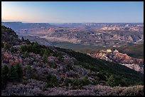 Grand Canyon from Mt Logan, dawn. Grand Canyon-Parashant National Monument, Arizona, USA ( color)