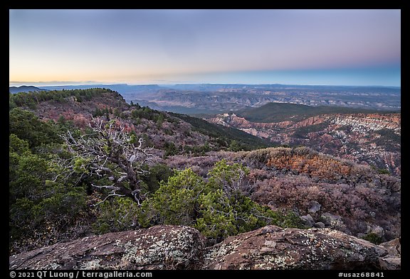 View from Mt Logan at dawn. Grand Canyon-Parashant National Monument, Arizona, USA (color)
