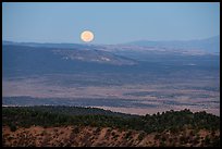 Full moon setting over Kinney Flat. Grand Canyon-Parashant National Monument, Arizona, USA ( color)