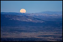 Moonset over Kinney Flat. Grand Canyon-Parashant National Monument, Arizona, USA ( color)