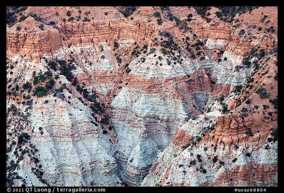 Erosion formations in Hells Hole. Grand Canyon-Parashant National Monument, Arizona, USA (color)